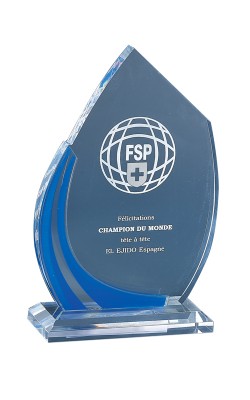 Trophée Plexi Personnalisé 179-41-CLI