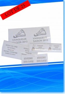 Etiquettes transparentes autocollantes pour dos de medailles