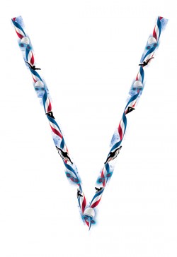 Ruban Médaille  Natation  : 7076