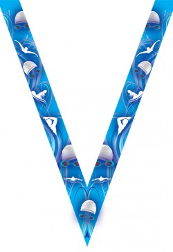 Ruban Médaille  Natation  : 7068