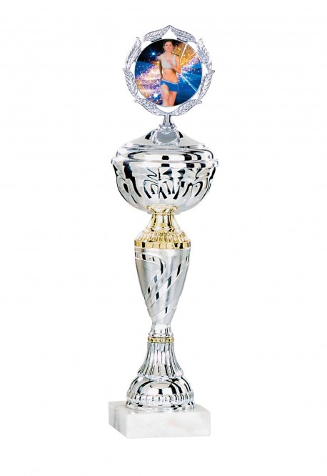 Coupe Personnalisée Économique : 1451W-C