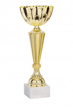 Coupe Économique Métal : 1851