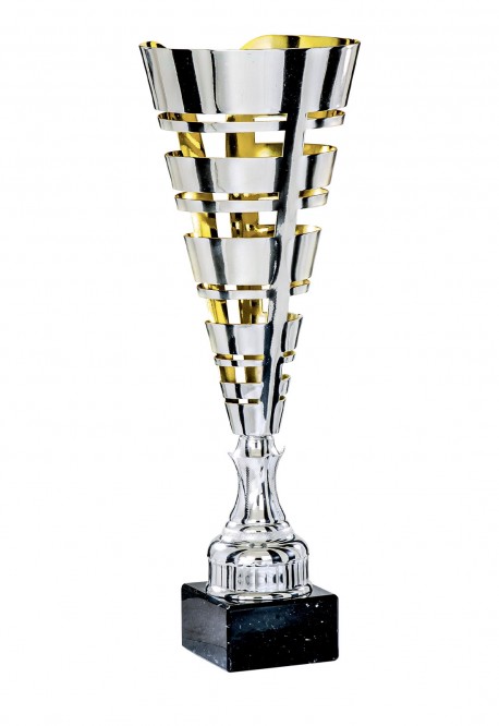 Coupe Laser Métal : 3871