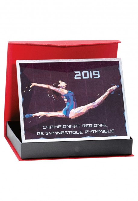 Plaque de distinction 189-21-SU