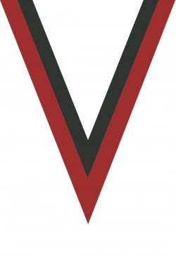 Ruban Médaille  Rouge/Noir  : 6031