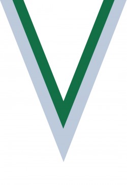 Ruban Médaille  Blanc/Vert  : 6039