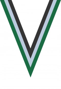 Ruban Médaille  Vert/Blanc/Noir  : 6046