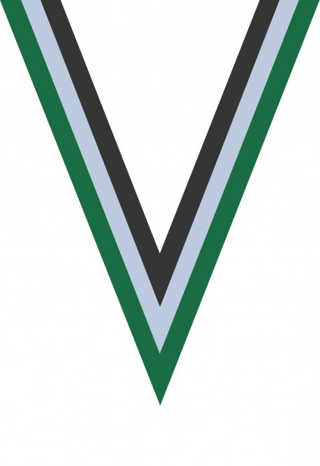 Ruban Médaille  Vert/Blanc/Noir  : 6046
