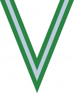 Ruban Médaille  Vert/Blanc/Vert : 6052