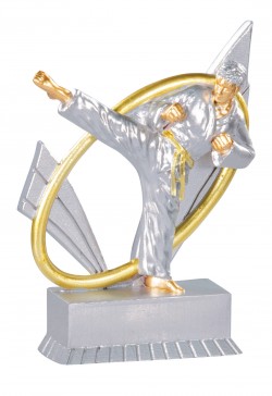 Trophée Karaté 31419