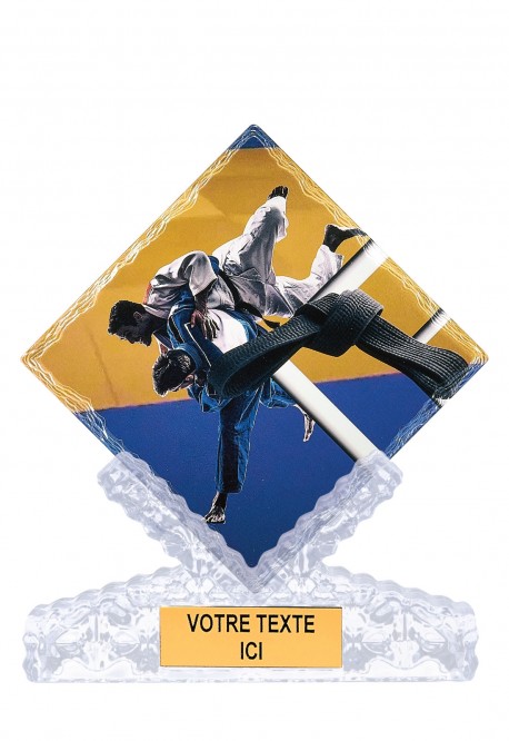 Trophée Judo 46114