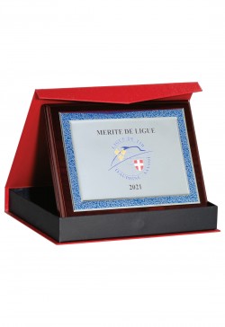 Plaque de distinction 189-64-SU