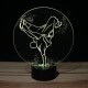 Lampe illusion 3D Hip Hop