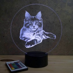 Lampe illusion 3D Maine Coon